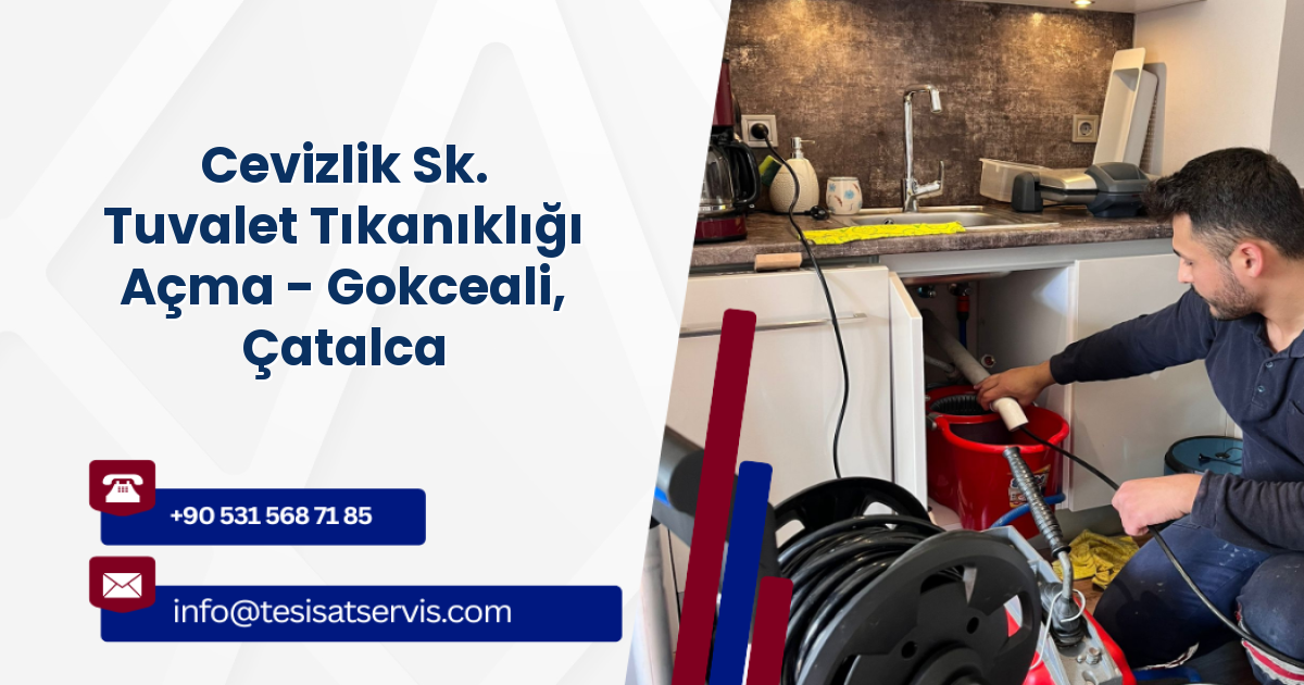 Cevizlik Sk. Tuvalet Tıkanıklığı Açma - Gokceali, Çatalca