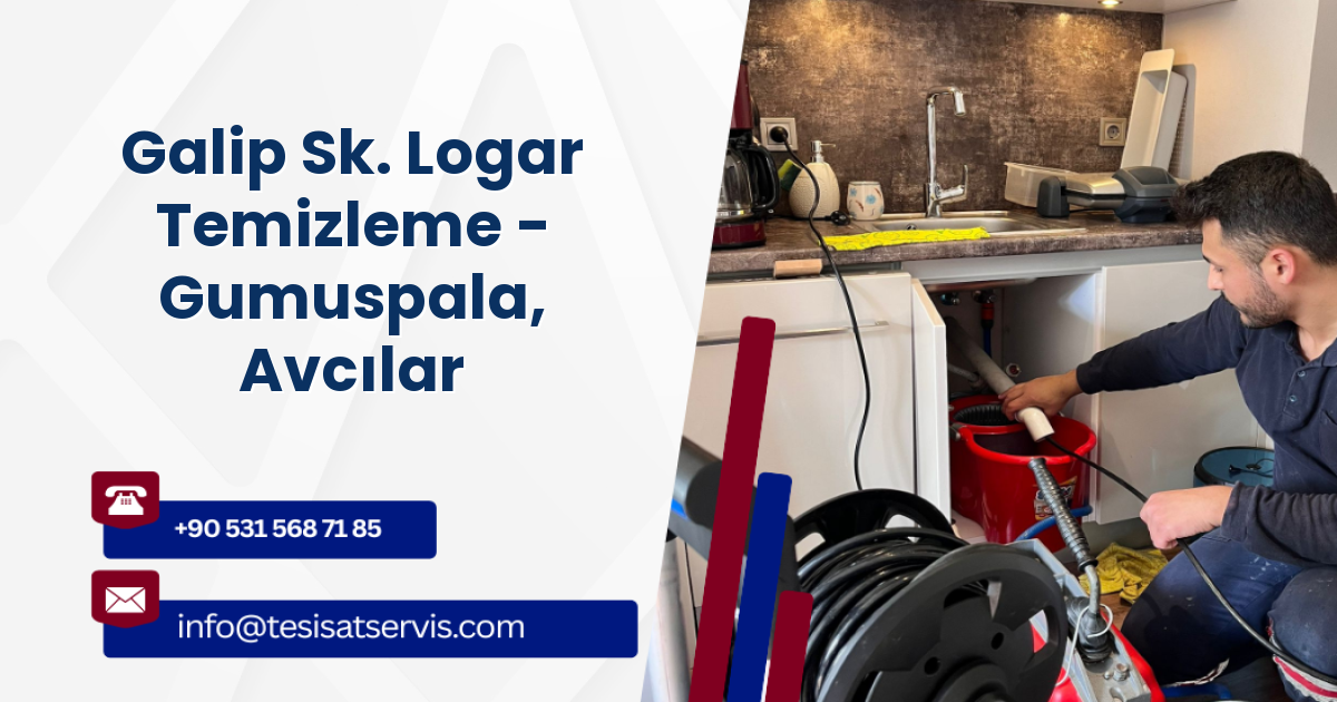 Galip Sk. Logar Temizleme - Gumuspala, Avcılar