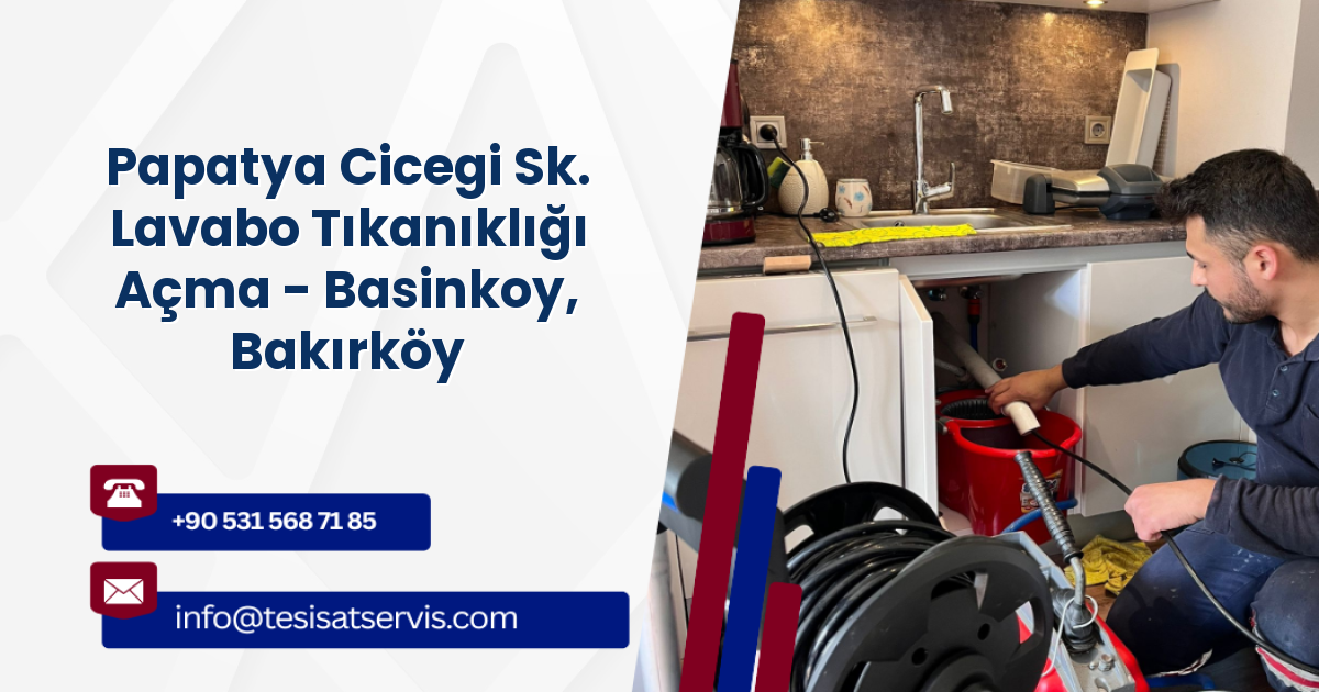 Papatya Cicegi Sk. Lavabo Tıkanıklığı Açma - Basinkoy, Bakırköy